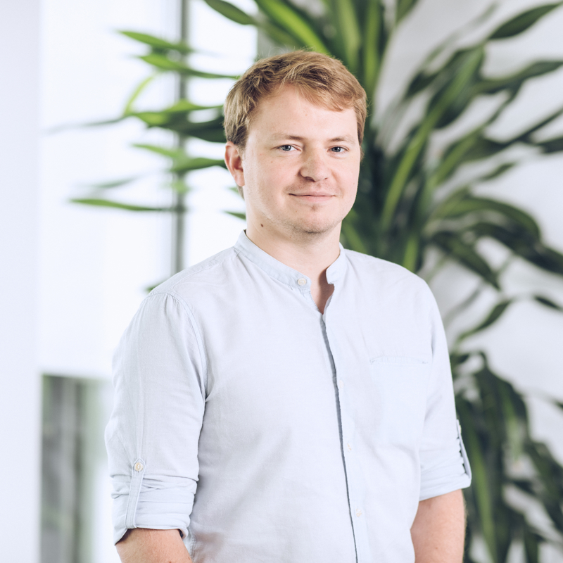 a person standing in front of a plant