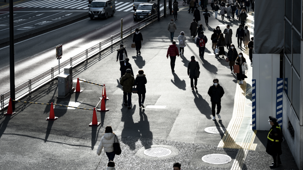 Public Sector Cognizant Opportunities